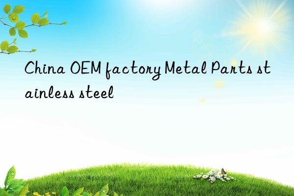 China OEM factory Metal Parts stainless steel