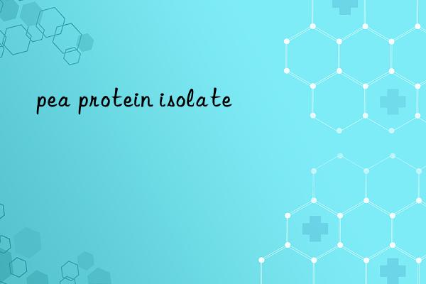 pea protein isolate