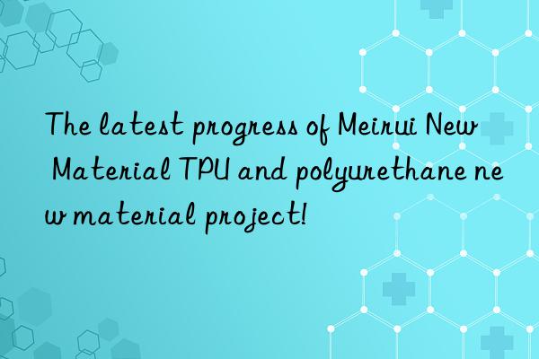 The latest progress of Meirui New Material TPU and polyurethane new material project!