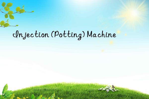 Injection (Potting) Machine