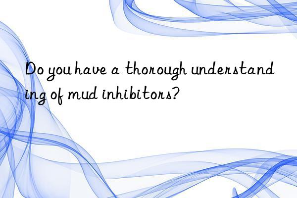 Do you have a thorough understanding of mud inhibitors?