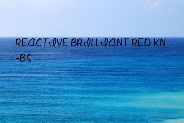 REACTIVE BRILLIANT RED KN-BS