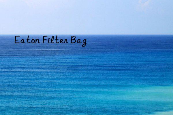 Eaton Filter Bag