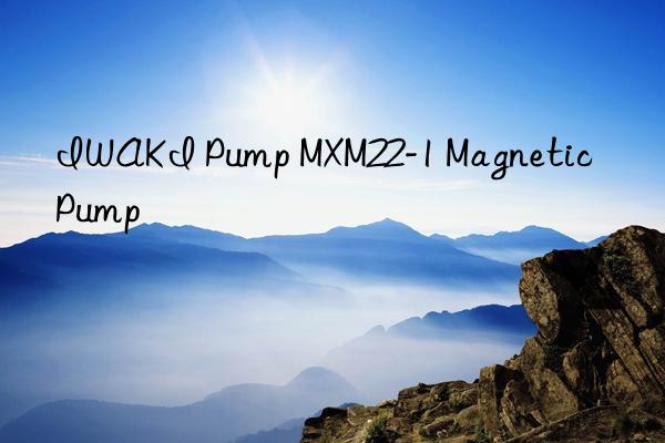 IWAKI Pump MXM22-1 Magnetic Pump