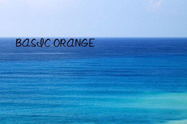 BASIC ORANGE