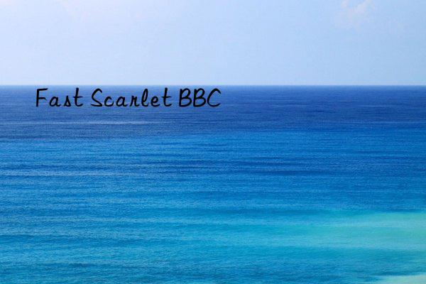 Fast Scarlet BBC