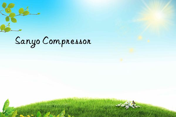 Sanyo Compressor