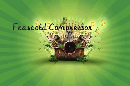 Frascold Compressor