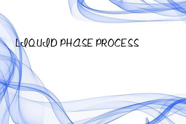 LIQUID PHASE PROCESS