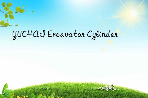 YUCHAI Excavator Cylinder