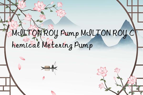 MILTON ROY Pump MILTON ROY Chemical Metering Pump