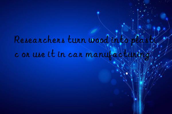 Researchers turn wood into plastic or use it in car manufacturing