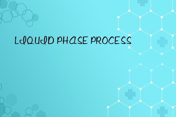 LIQUID PHASE PROCESS