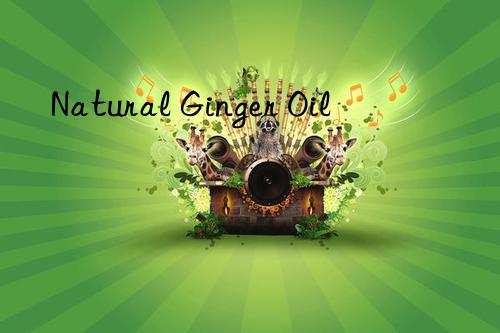 Natural Ginger Oil