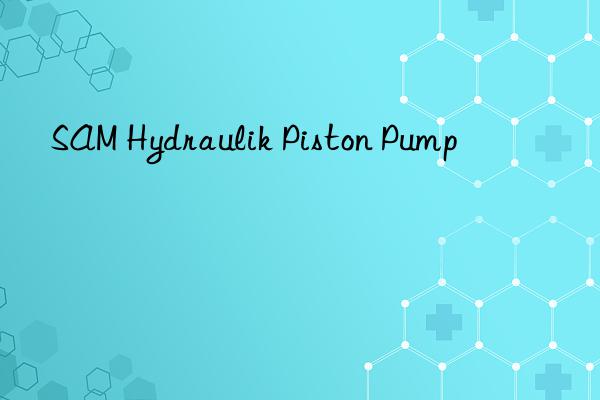 SAM Hydraulik Piston Pump