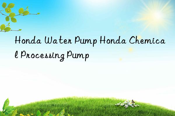 Honda Water Pump Honda Chemical Processing Pump