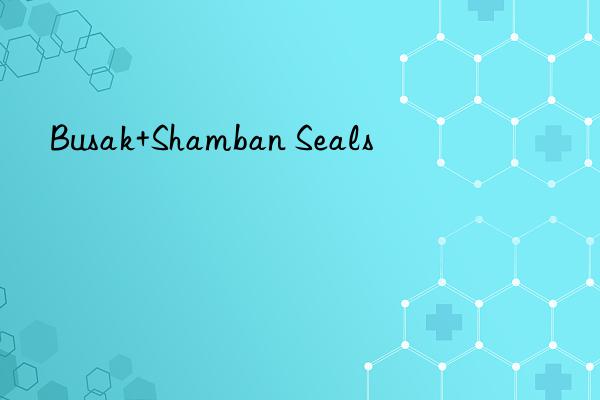 Busak+Shamban Seals