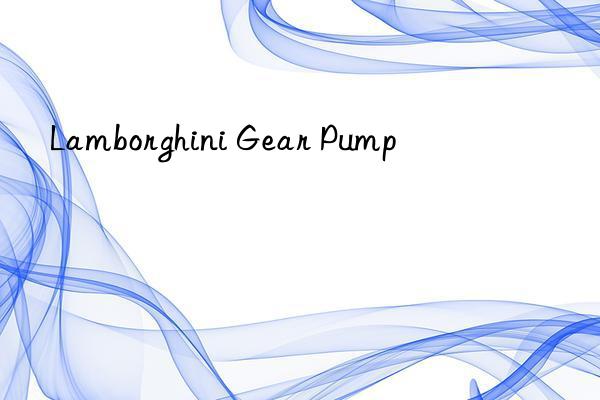 Lamborghini Gear Pump