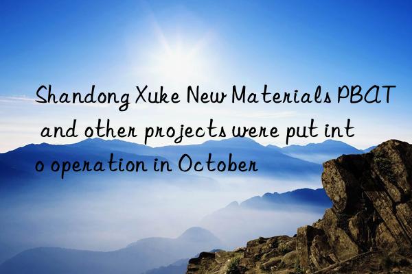 Shandong Xuke New Materials PBAT and other projects were put into operation in October