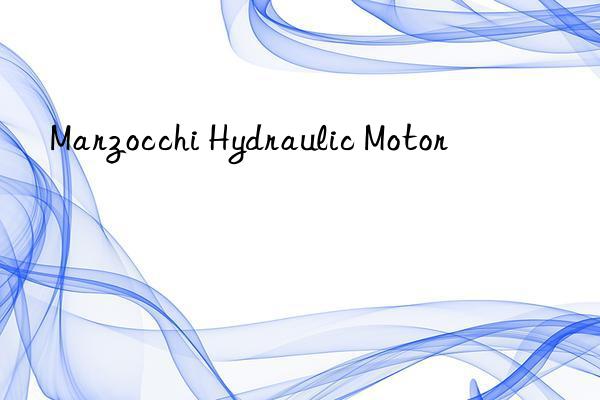 Marzocchi Hydraulic Motor