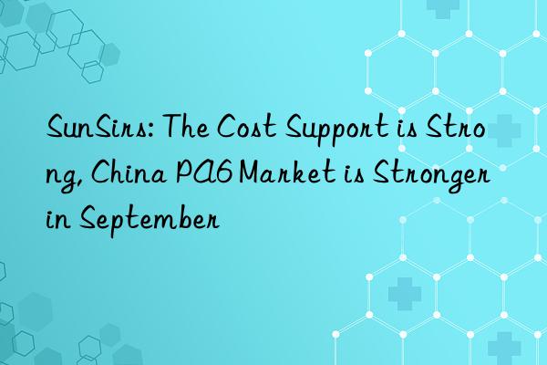 SunSirs: The Cost Support is Strong, China PA6 Market is Stronger in September