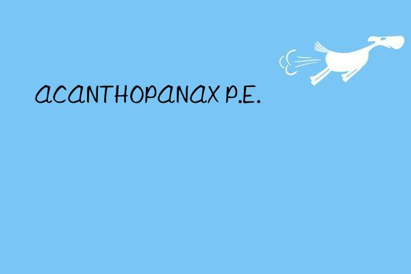 ACANTHOPANAX P.E.