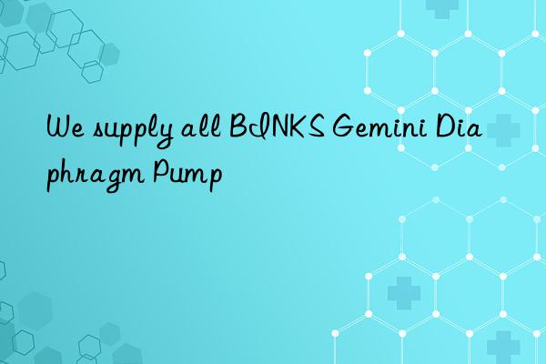 We supply all BINKS Gemini Diaphragm Pump