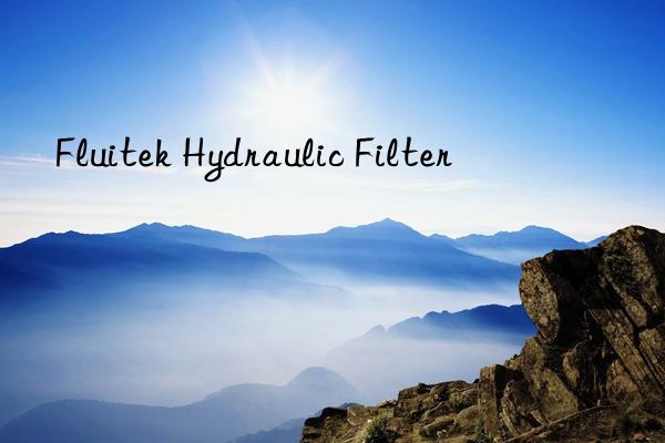 Fluitek Hydraulic Filter