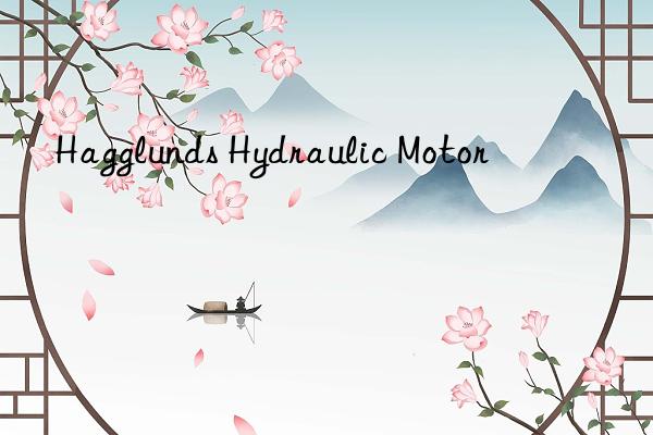 Hagglunds Hydraulic Motor