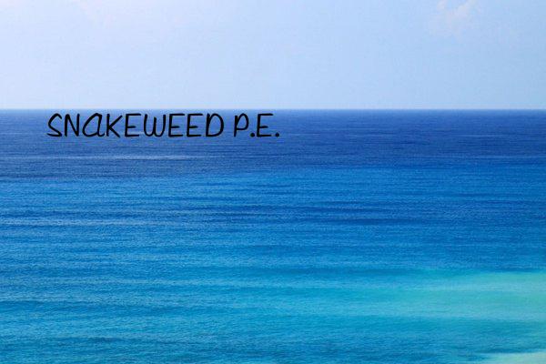 SNAKEWEED P.E.