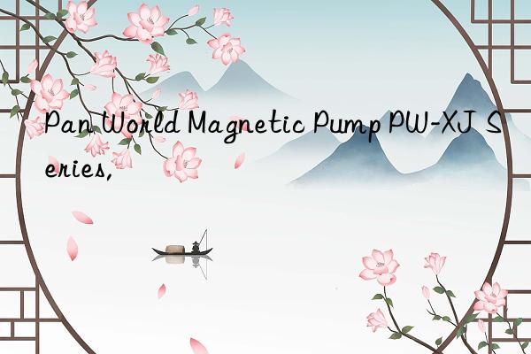 Pan World Magnetic Pump PW-XJ Series,