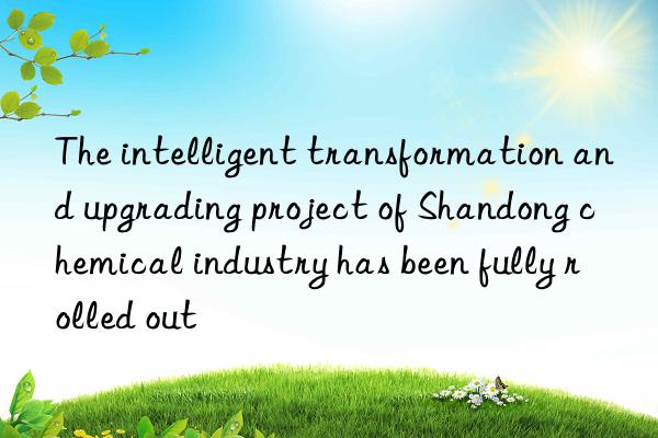 The intelligent transformation and upgrading project of Shandong chemical industry has been fully rolled out