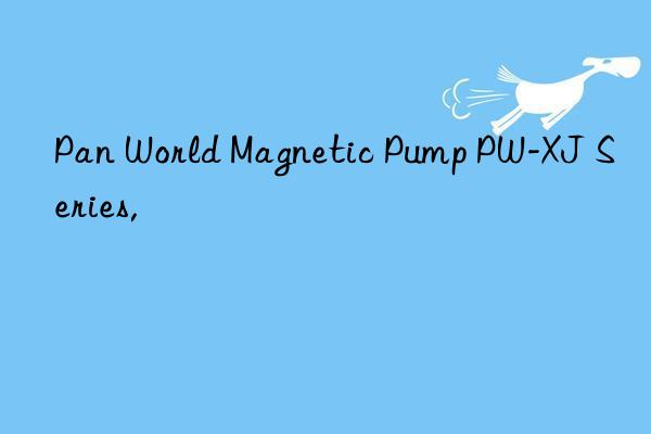 Pan World Magnetic Pump PW-XJ Series,