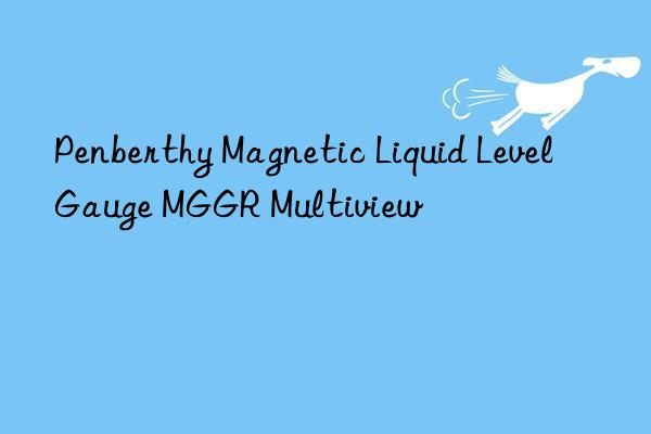 Penberthy Magnetic Liquid Level Gauge MGGR Multiview