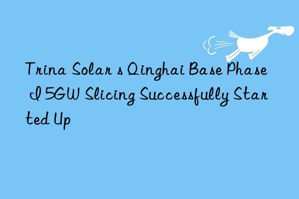 Trina Solar s Qinghai Base Phase I 5GW Slicing Successfully Started Up