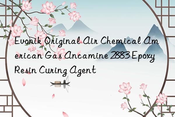 Evonik Original Air Chemical American Gas Ancamine 2883 Epoxy Resin Curing Agent