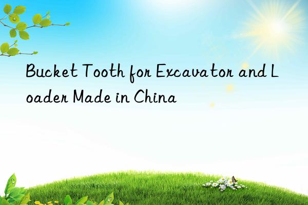 Bucket Tooth for Excavator and Loader Made in China