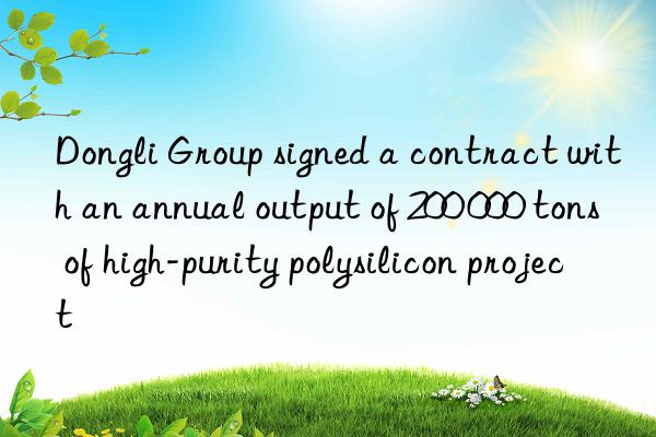 Dongli Group signed a contract with an annual output of 200 000 tons of high-purity polysilicon project