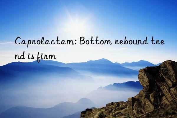 Caprolactam: Bottom rebound trend is firm