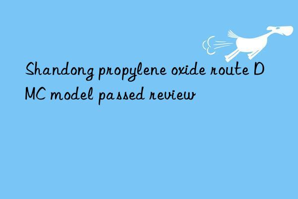 Shandong propylene oxide route DMC model passed review