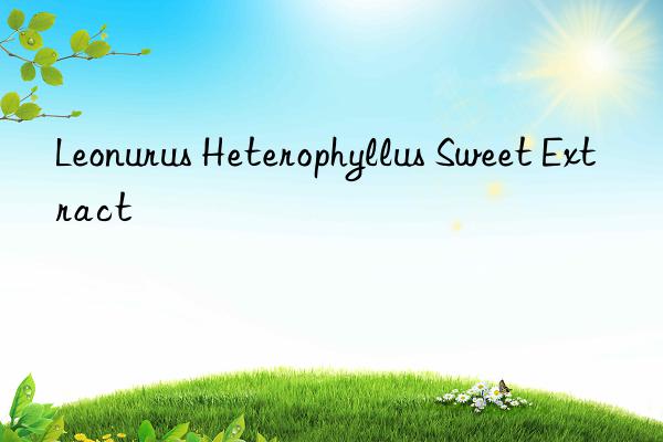 Leonurus Heterophyllus Sweet Extract