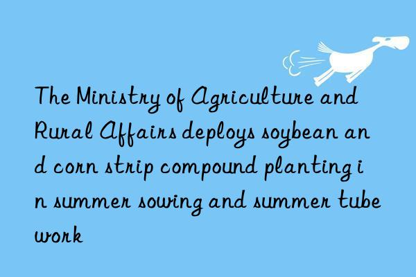 The Ministry of Agriculture and Rural Affairs deploys soybean and corn strip compound planting in summer sowing and summer tube work