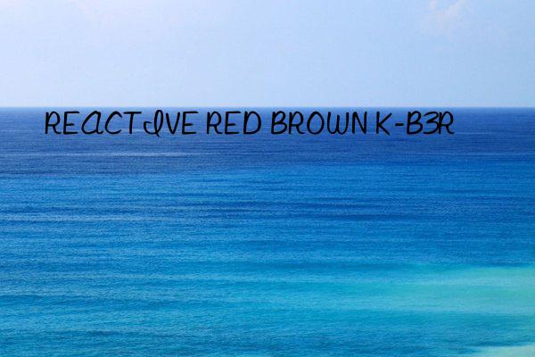 REACTIVE RED BROWN K-B3R