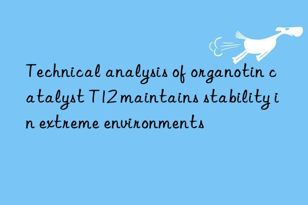 Technical analysis of organotin catalyst T12 maintains stability in extreme environments