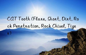 CAT Tooth (Flare, Short, Dirt, Rock Penetration, Rock Chisel, Tiger)