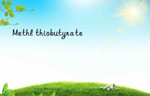 Methl thiobutyrate