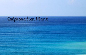 Sulphonation Plant