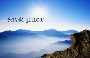 BASIC YELLOW