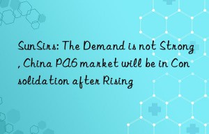 SunSirs: The Demand is not Strong, China PA6 market will be in Consolidation after Rising