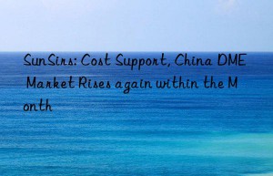 SunSirs: Cost Support, China DME Market Rises again within the Month